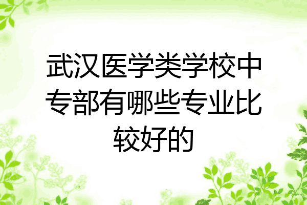 武汉医学类学校中专部有哪些专业比较好的