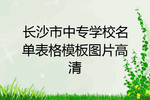 长沙市中专学校名单表格模板图片高清
