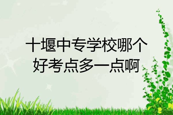 十堰中专学校哪个好考点多一点啊