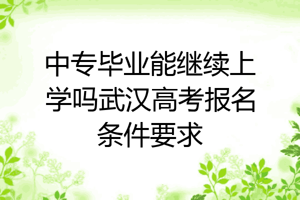 中专毕业能继续上学吗武汉高考报名条件要求