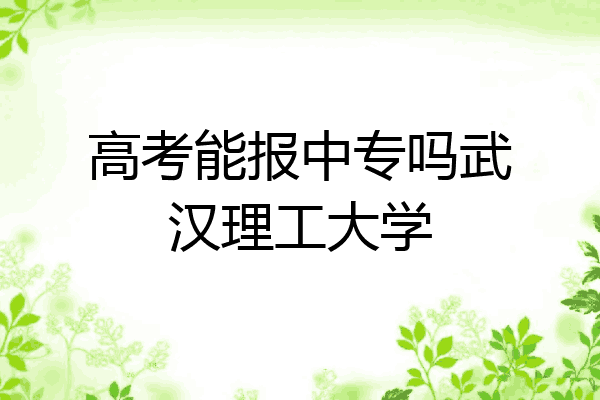 高考能报中专吗武汉理工大学