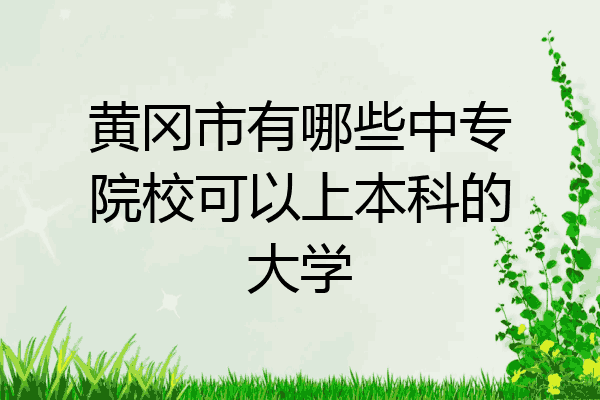 黄冈市有哪些中专院校可以上本科的大学