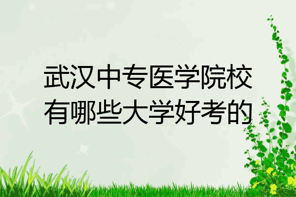 武汉中专医学院校有哪些大学好考的