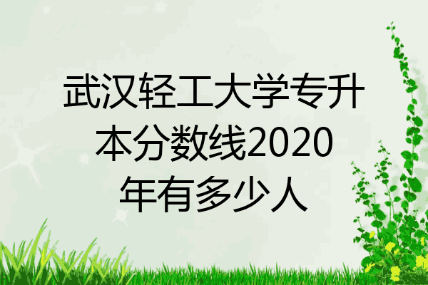 武汉轻工大学专升本分数线2020年有多少人