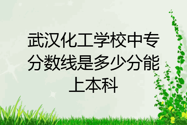 武汉化工学校中专分数线是多少分能上本科