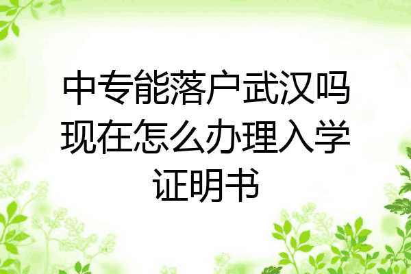 中专能落户武汉吗现在怎么办理入学证明书