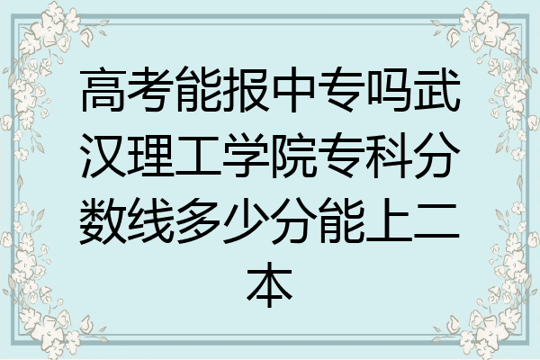 高考能报中专吗武汉理工学院专科分数线多少分能上二本