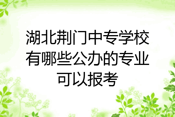 湖北荆门中专学校有哪些公办的专业可以报考