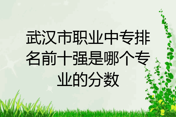 武汉市职业中专排名前十强是哪个专业的分数