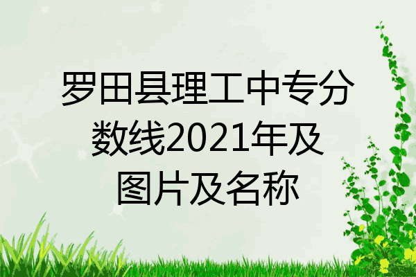 罗田县理工中专分数线2021年及图片及名称