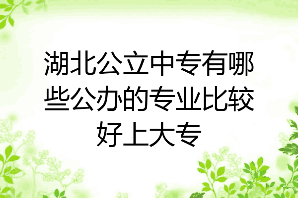 湖北公立中专有哪些公办的专业比较好上大专