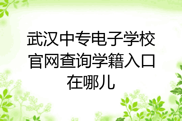 武汉中专电子学校官网查询学籍入口在哪儿