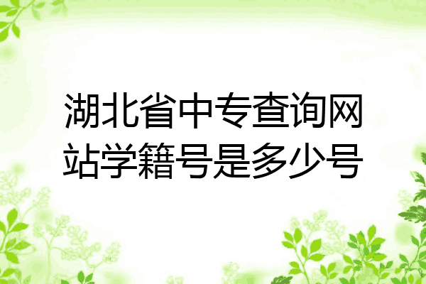 湖北省中专查询网站学籍号是多少号