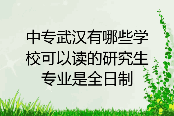 中专武汉有哪些学校可以读的研究生专业是全日制