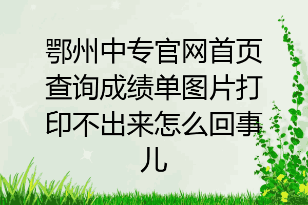 鄂州中专官网首页查询成绩单图片打印不出来怎么回事儿