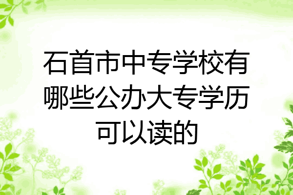 石首市中专学校有哪些公办大专学历可以读的