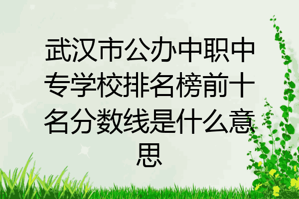 武汉市公办中职中专学校排名榜前十名分数线是什么意思