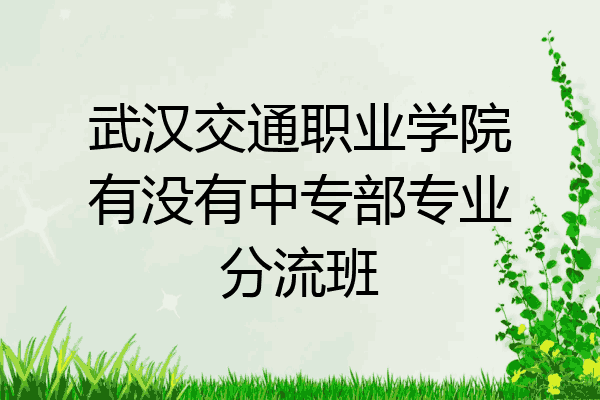 武汉交通职业学院有没有中专部专业分流班