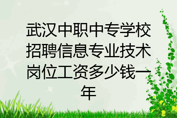 武汉中职中专学校招聘信息专业技术岗位工资多少钱一年