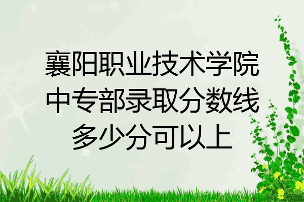 襄阳职业技术学院中专部录取分数线多少分可以上