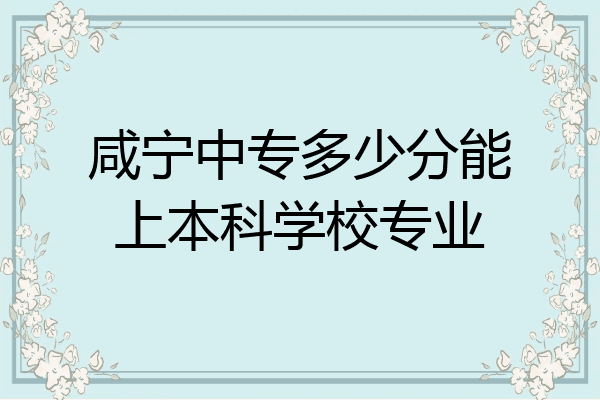 咸宁中专多少分能上本科学校专业