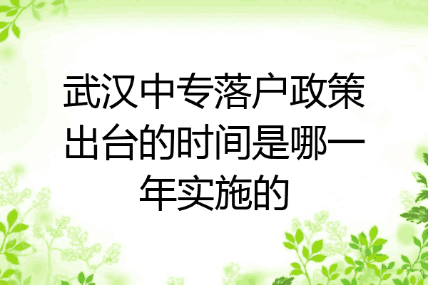武汉中专落户政策出台的时间是哪一年实施的