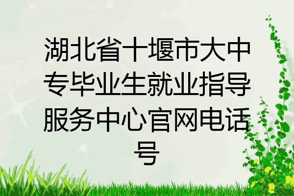 湖北省十堰市大中专毕业生就业指导服务中心官网电话号