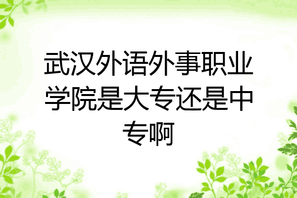 武汉外语外事职业学院是大专还是中专啊