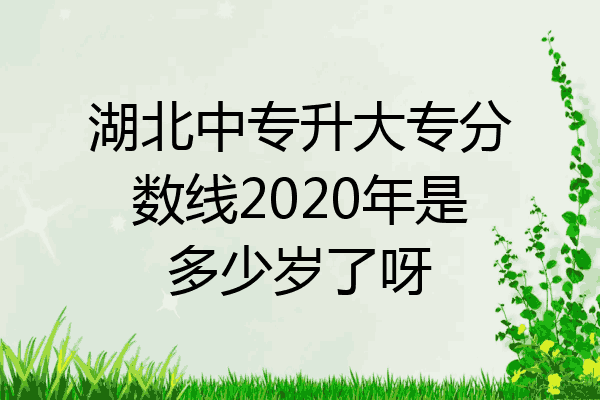 湖北中专升大专分数线2020年是多少岁了呀