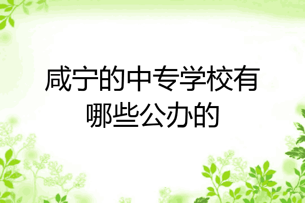 咸宁的中专学校有哪些公办的