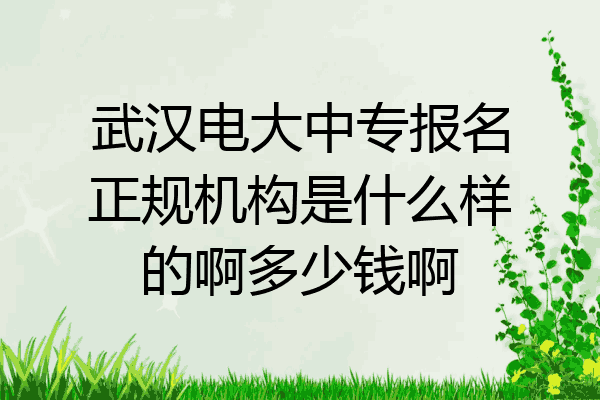 武汉电大中专报名正规机构是什么样的啊多少钱啊
