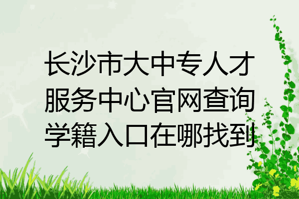 长沙市大中专人才服务中心官网查询学籍入口在哪找到
