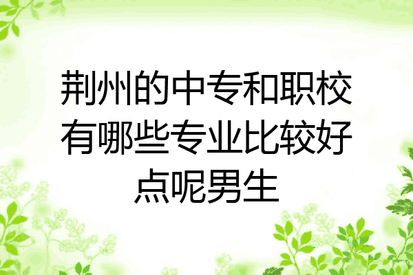 荆州的中专和职校有哪些专业比较好点呢男生