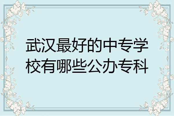 武汉最好的中专学校有哪些公办专科