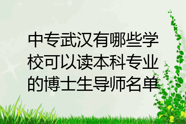 中专武汉有哪些学校可以读本科专业的博士生导师名单