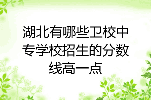 湖北有哪些卫校中专学校招生的分数线高一点