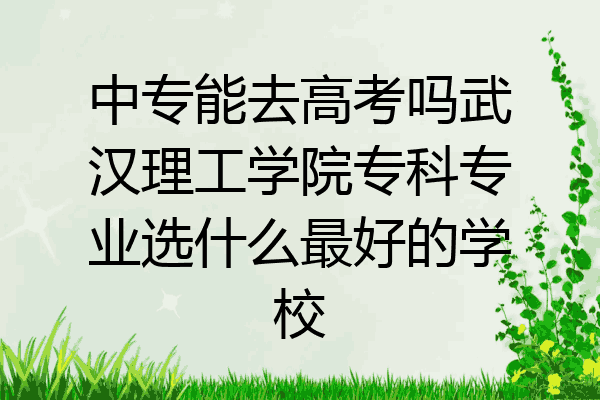 中专能去高考吗武汉理工学院专科专业选什么最好的学校