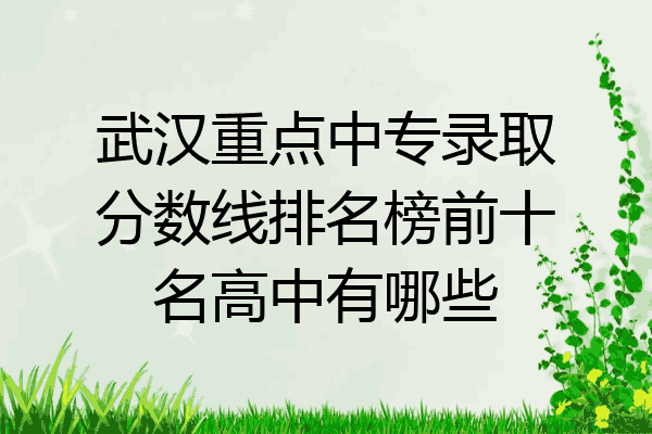 武汉重点中专录取分数线排名榜前十名高中有哪些