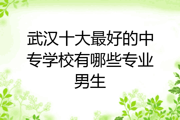 武汉十大最好的中专学校有哪些专业男生