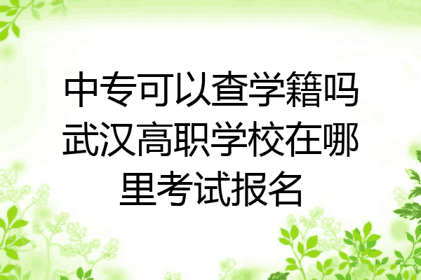 中专可以查学籍吗武汉高职学校在哪里考试报名