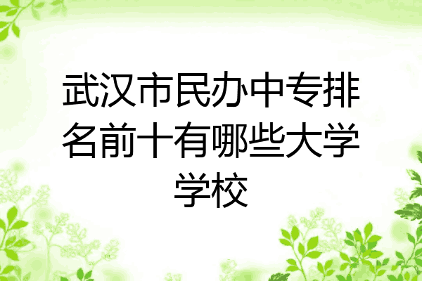 武汉市民办中专排名前十有哪些大学学校
