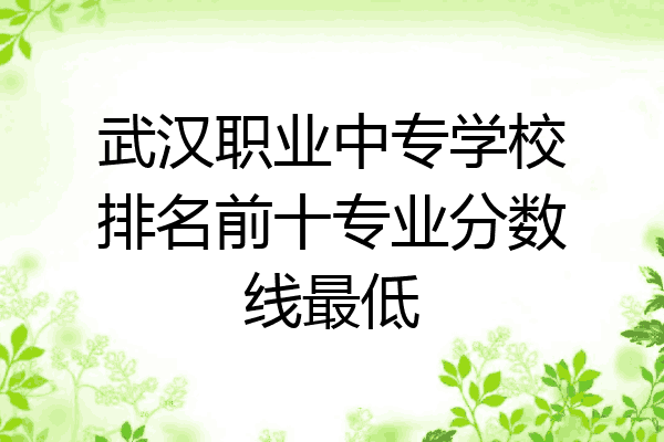 武汉职业中专学校排名前十专业分数线最低