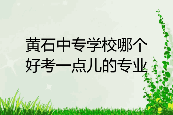 黄石中专学校哪个好考一点儿的专业