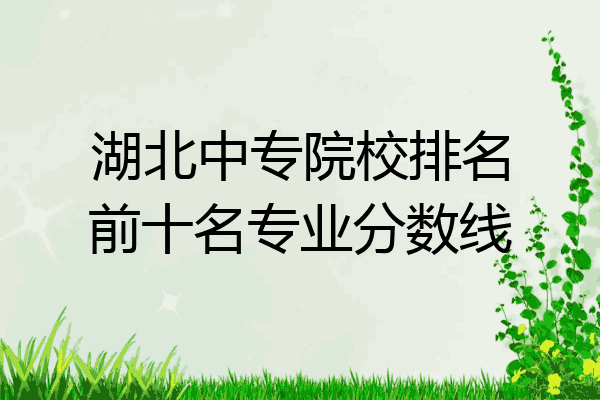 湖北中专院校排名前十名专业分数线
