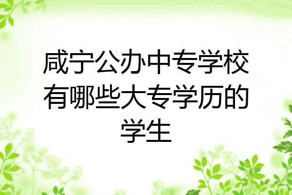 咸宁公办中专学校有哪些大专学历的学生