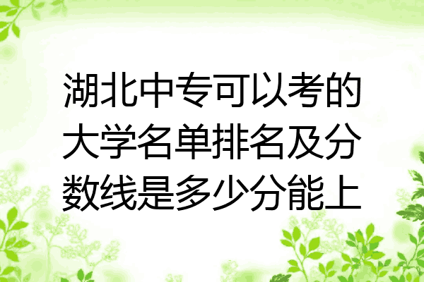 湖北中专可以考的大学名单排名及分数线是多少分能上