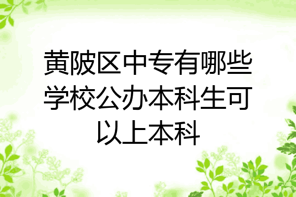 黄陂区中专有哪些学校公办本科生可以上本科