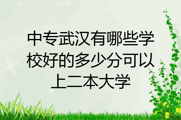 中专武汉有哪些学校好的多少分可以上二本大学