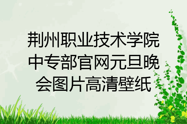 荆州职业技术学院中专部官网元旦晚会图片高清壁纸