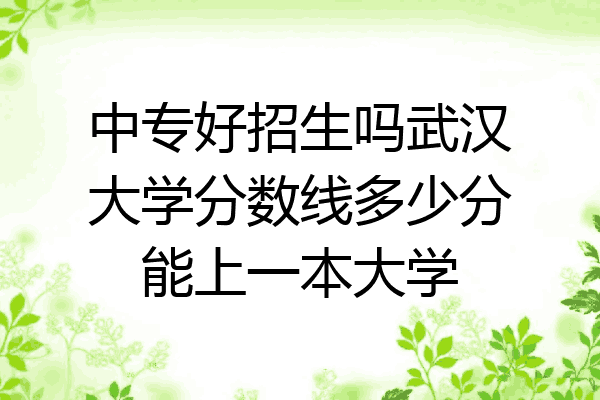 中专好招生吗武汉大学分数线多少分能上一本大学